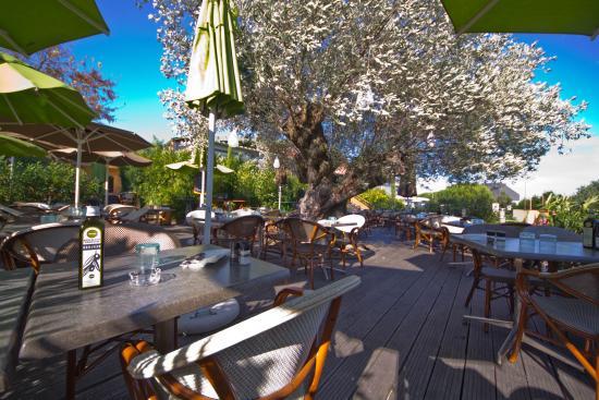 La Villa des Oliviers